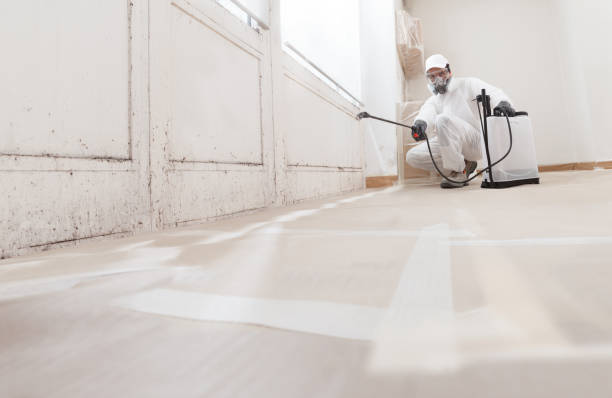 24/7 Emergency Mold Remediation experts in Evans, GA