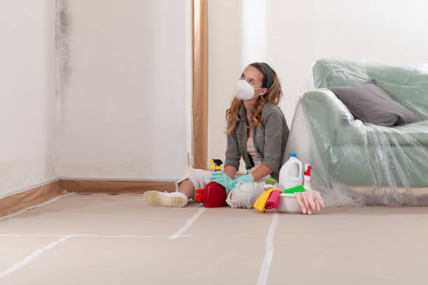 Reliable Mold Remediation contractor in Evans, GA by 24 Hour Mold Removal