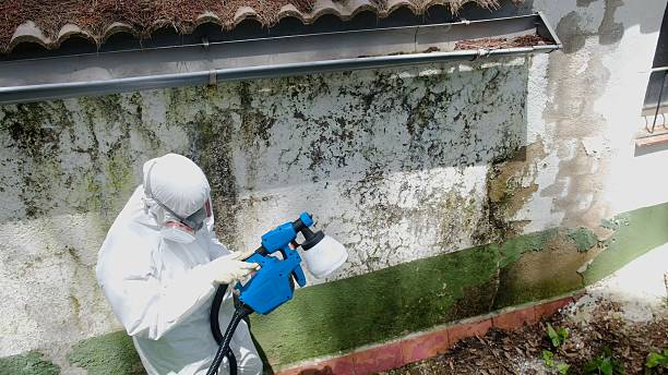 Top rated local Mold Remediation specialists in Evans, GA